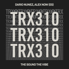The Sound The Vibe (Extended Mix)