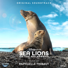 Sea Lions of the Galapagos