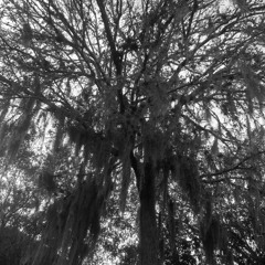 ThanksgivingK p.prodbyaydenn