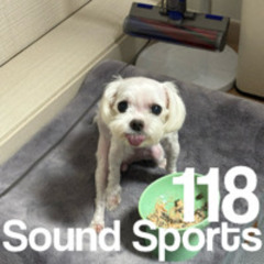 Sound Sports 118 ISLND adidas CONFIRMED MIX