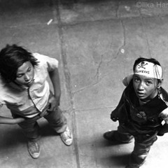 cranes, shouiyo - Dota (prod cranes)