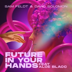 Sam Feldt & David Solomon - Future In Your Hands Feat Aloe Blacc