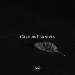 Short Circuit 015 by Caloris Planitia