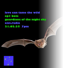 Lisa O'Grady - Love Can Tame The Wild Ep1 Bats 21.02.25