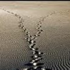 MansAsWorld   "Distance"  (LAmuzic)