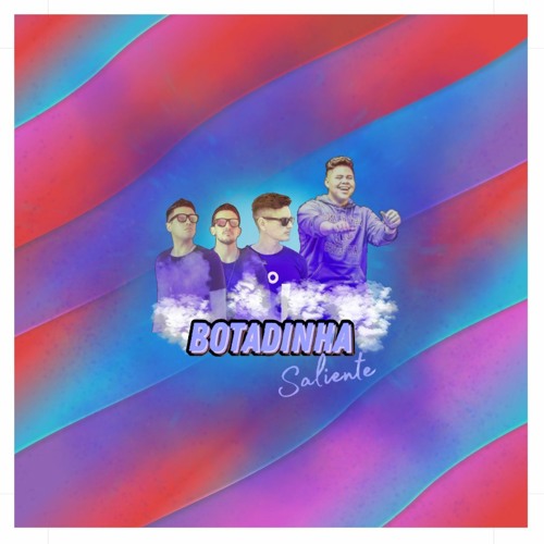 Botadinha Saliente  - Mr.Tchello & Martiniano Brothers(Remix)