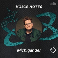 Voice Notes: Michigander on "Important"
