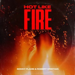 Robert Cristian & Sonny Flame - Hot Like Fire