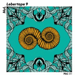 Lebertape#9 Mix by Seeleâ