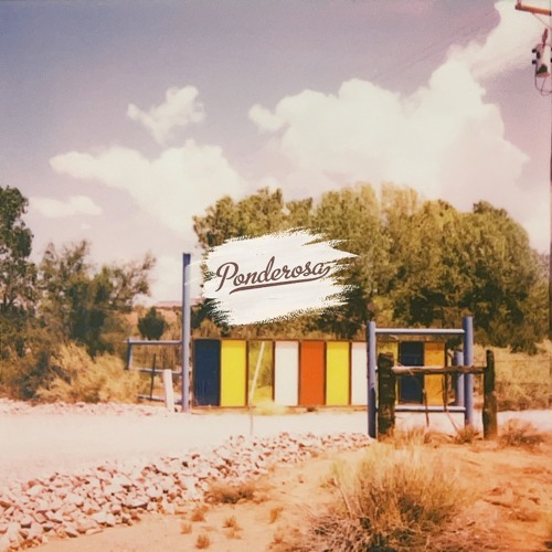 ponderosa