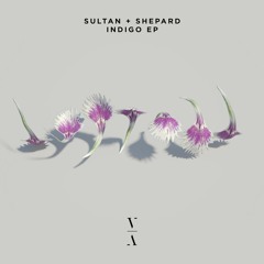 Sultan + Shepard - Indigo