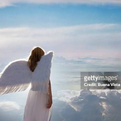 seven angel horns prod me