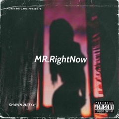 Shawn Meech - Mr.Right Now Remix