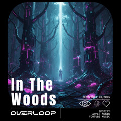 In The Woods