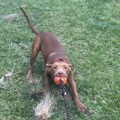 SHY Martin - Forget To Forget (Raiguetss x Nasty Remix)