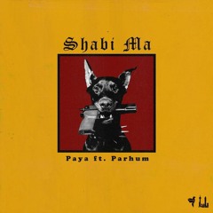 Paya & Parham – Shabi Ma(Paydar)