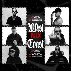 ALLDJDIE - West Coast Mix | ICEGERGERT, WHOLE LOTTA SWAG, ALBLAK 52, KIZARU, BIG BABY TAPE 2024