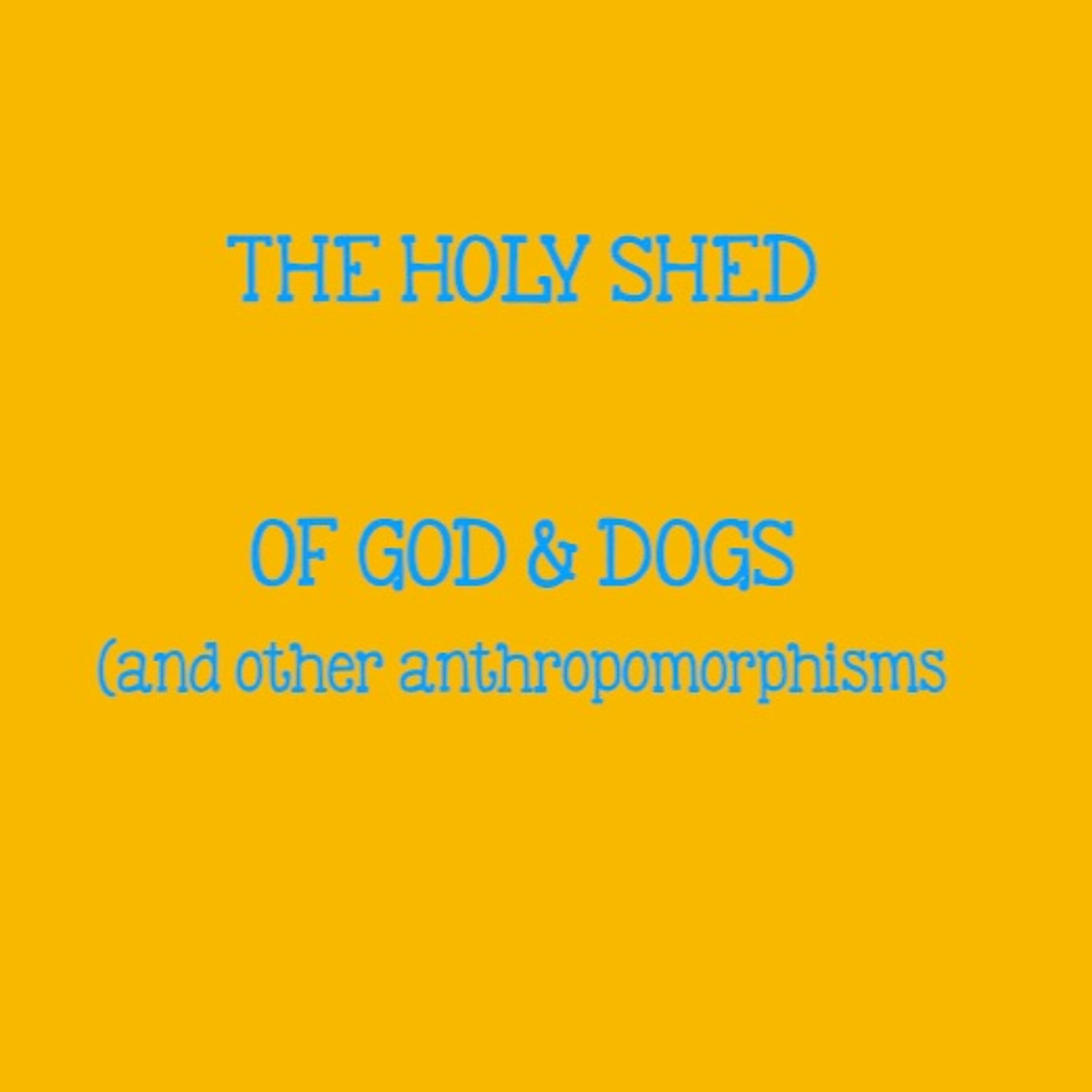 The Holy Shed - Dave Tomlinson
