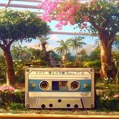 とのさ Violin Groove 八丈島民謡 樫立の手踊RemixProject #5