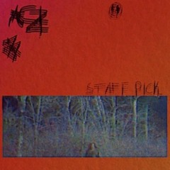 STAFF PICK (+ EATTHEN + GHOST AUTUMN + TREBOR) [ANTYDE]