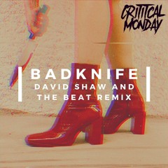 Badknife Feat The Chauffeur - Echappée Belle (David Shaw And The Beat Remix)