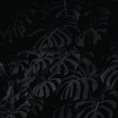[iFate Remix] Han Yo Han(한요한) - Dance(댄스) (Feat. GIRIBOY) [Free Download]