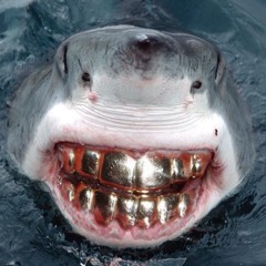 sparks & smoke (shark remix)