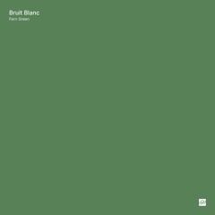 Bruit Blanc – Fern Green