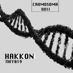 Hakkon - Cromosoma XVII (Original Mix)