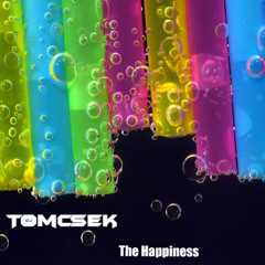 DJ Tomcsek - The Happiness