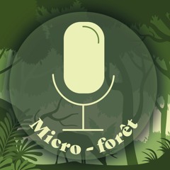 Balades en forêt (Une chronique Radio en forêt) par Serge Auré