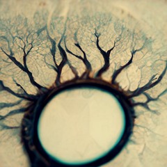 Vecdaud - Yuva (Variant)