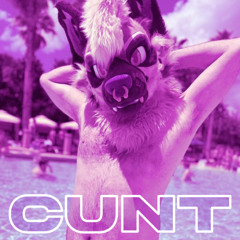 Hey Syri! - CUNT