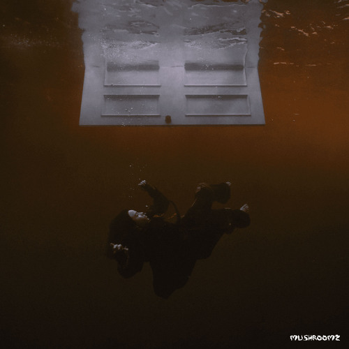 CHIHIRO (millforlife Afro House Remix)