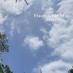 FLUORESCENT SKY @ VIBEFEST VOL 2 (UPDATED)