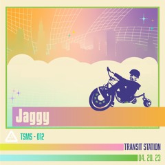 TSMS - 012 | Jaggy