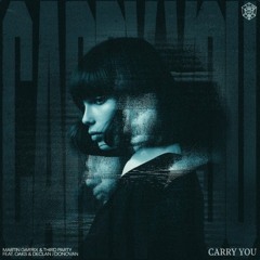 Martin garrix & Alan Walker - Hero X Carry You [Mashup]