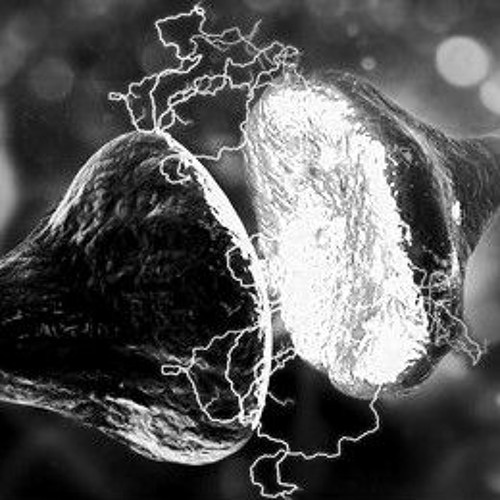 Hansn - Synapsenkasper | 160er | 09.10.21 private session |