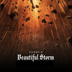 Sunny.K - Beautiful Storm (Free Download)