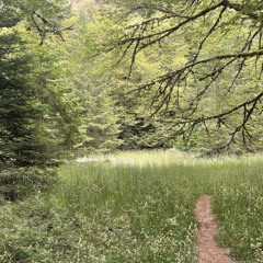 glass triangle (acoustic vers.)