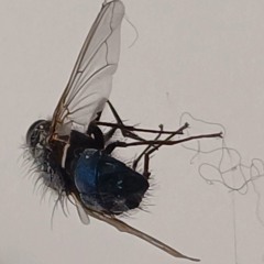 24 Ertränkte Ruine kurzneuanders