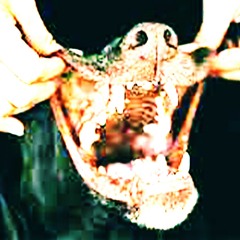 ───∿∿∿───·͙⁺˚*•̩̩͙✩•̩̩͙*˚⁺‧͙⁺˚*•̩̩͙n̸̛͚̲̆̇̒̏̅͛͘̕ǫ̷̟͈̙͙̈́̃ ̷̬̻̳͚̘͓̜̹͓̈́̂̍̽t̷̟͚̓y̸̨̛̲̮̦̣͚͇̣̼͙̅͛͆̄͊̽p̶̡͔͖̖͉̍͗͆͋͘e̴͙̅̐̄̾͆̂̿́̃͠•̩̩͙*˚⁺‧͙⁺˚*•̩̩͙✩•̩̩͙*˚⁺‧͙█_█_█