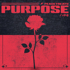 Tomorrowland Radio: PeaceTreaty - Purpose