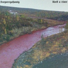 bleed a river (cover)