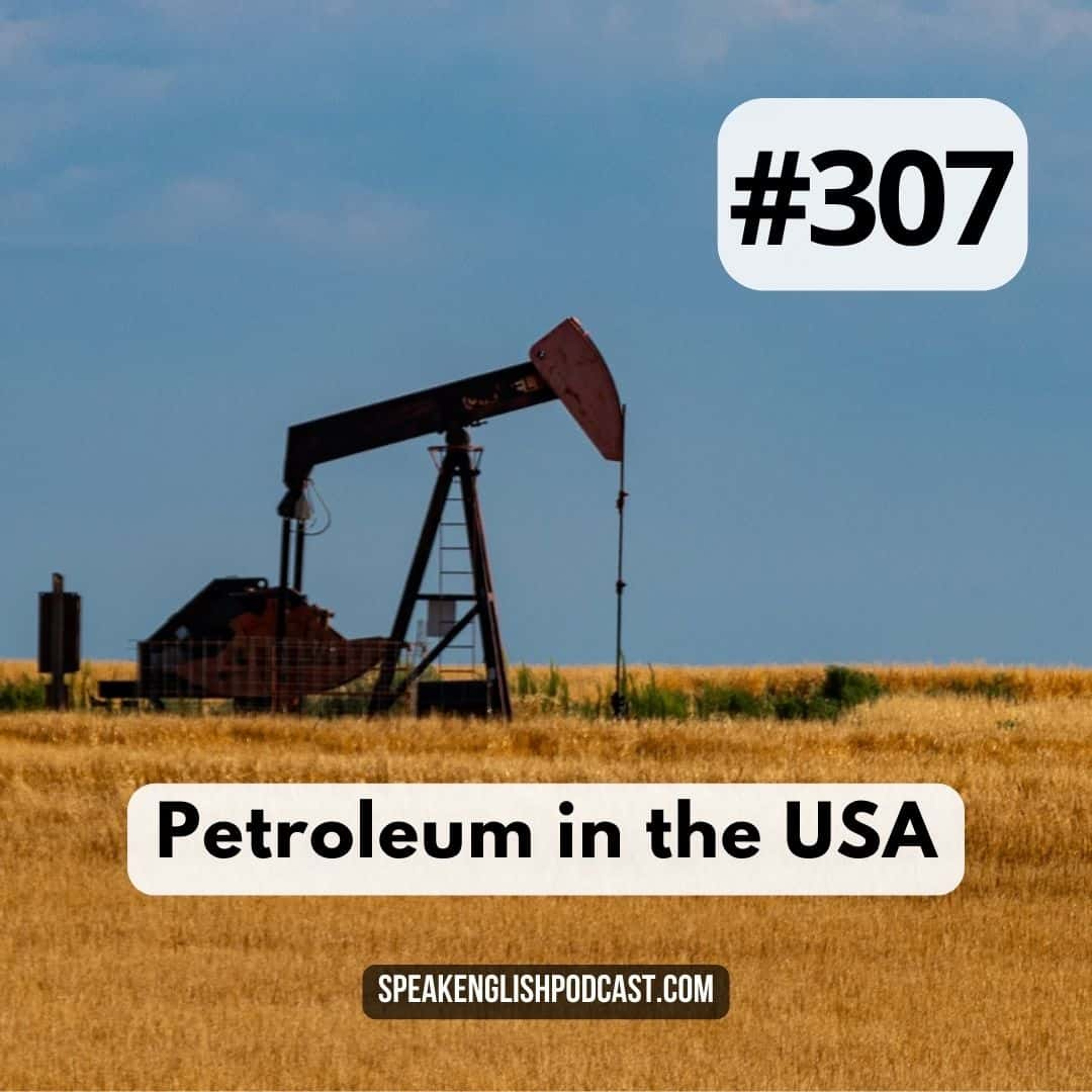 #307 Petroleum in the USA episode artwork
