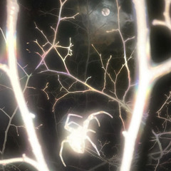 thismakesmeuncomfortable