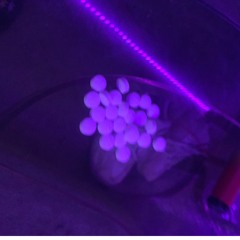 Oxycodone [Prod. trggr x m4ndume]