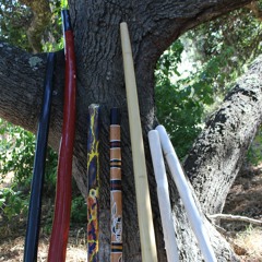 Is this your didgeridoo-B didg