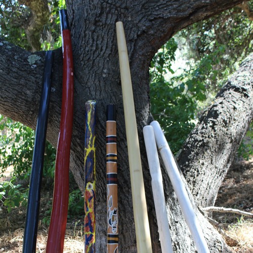 Is this your didgeridoo-B didg