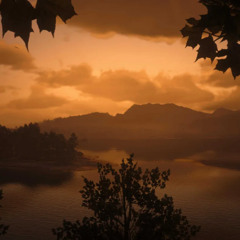 Codeine Pills, Percocet Thrills